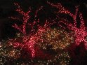 Toledo Zoo Lights 2008 035